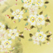 Kosen Iwashita Gallery